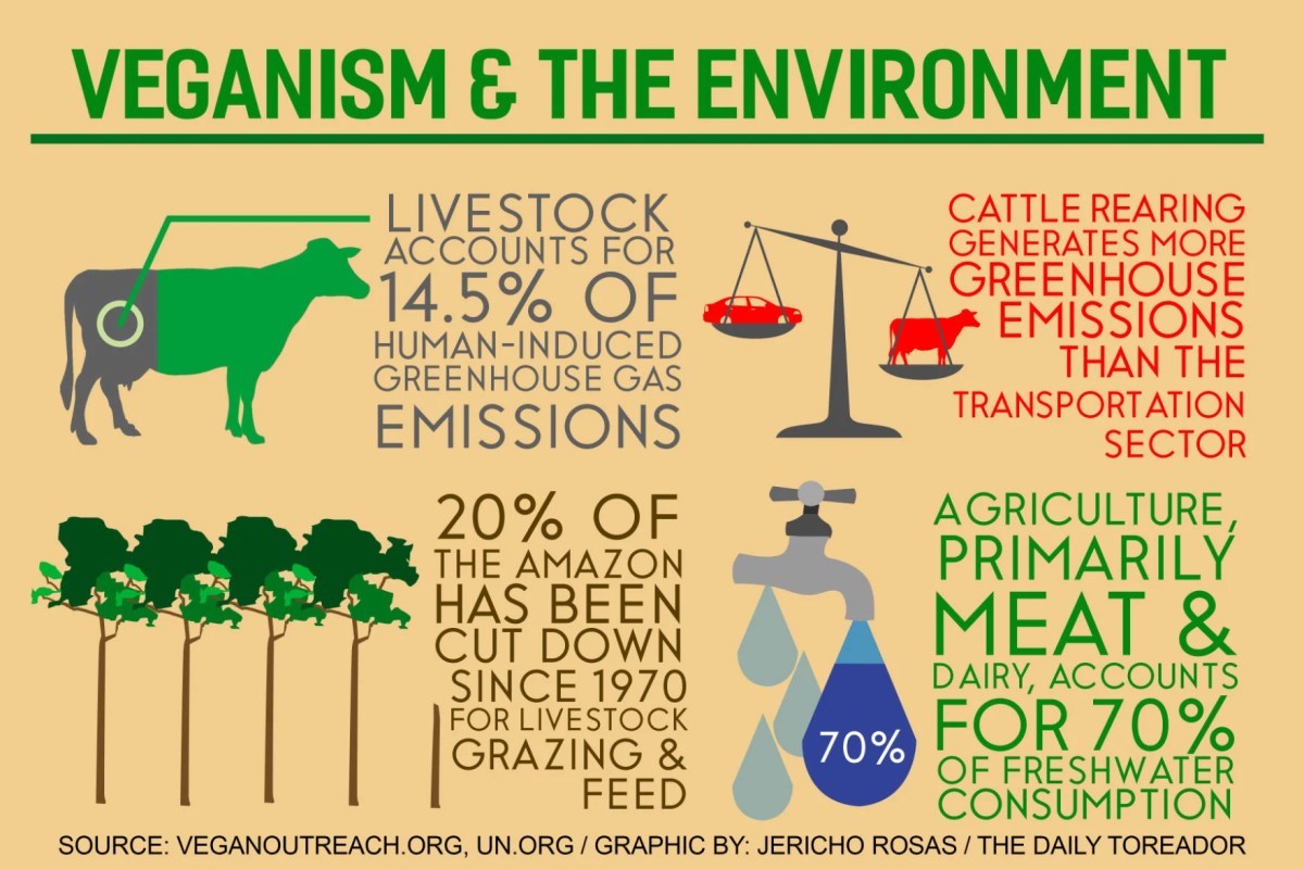 Is a vegan diet better for you